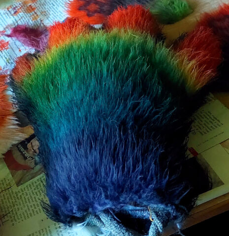 rainbow colored paw